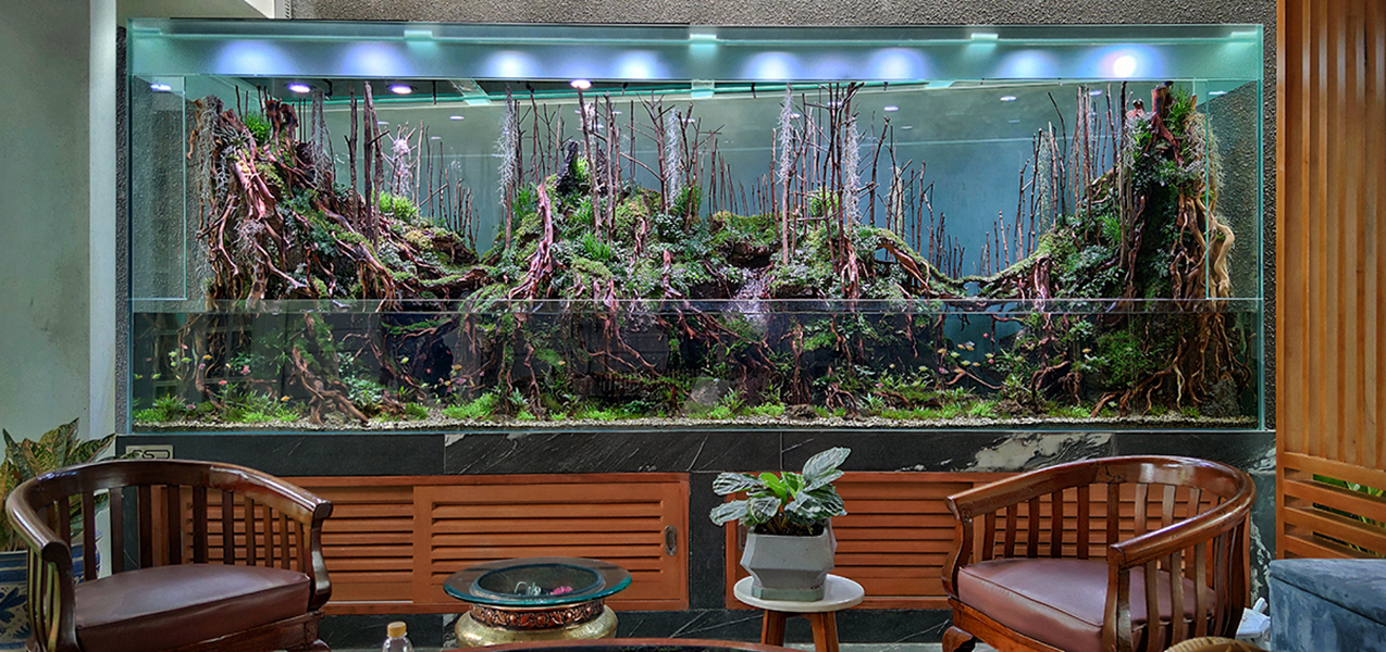 Paludarium forest berukuran 400cm pada private residence